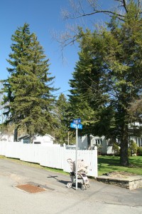 Park Av @ Poplar St, 4/22/13